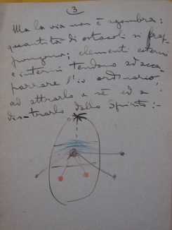 Hand drawn egg diagram