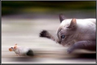 positive-motivation1