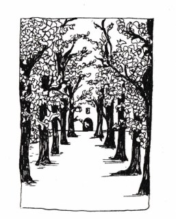 Eremo delle Allodole 2