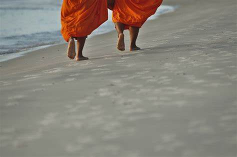 two monk walking on beach
